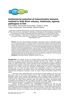 Antibacterial Potential of Heterotrophic Bacteria Isolated in Siak River Estuary, Indonesia, Against Pathogens in Fish