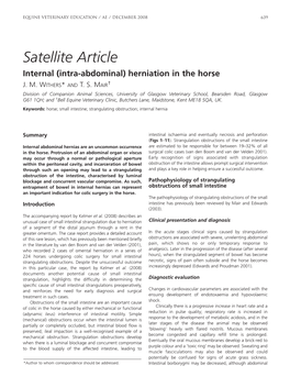 Satellite Article Internal (Intra-Abdominal) Herniation in the Horse J