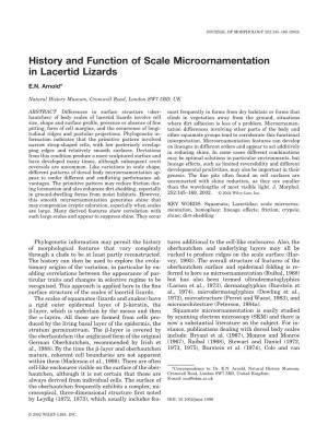 History and Function of Scale Microornamentation in Lacertid Lizards