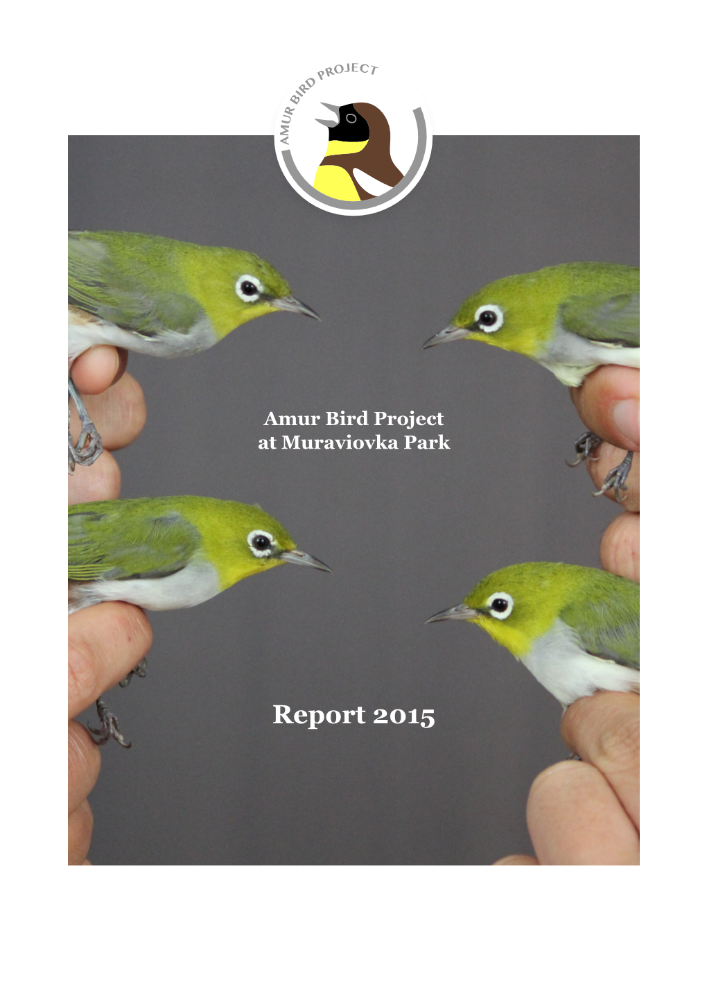 Report 2015 OJECT PR D IR B R