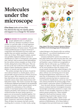 Molecules Under the Microscope