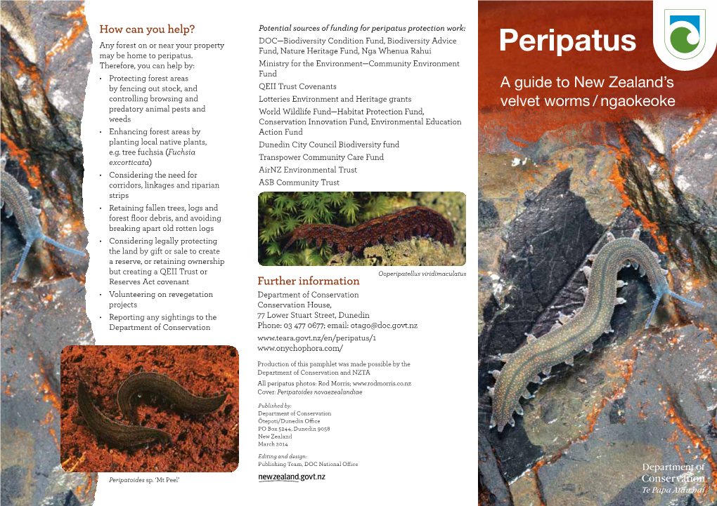 Peripatus: a Guide to New Zealand's Velvet Worms