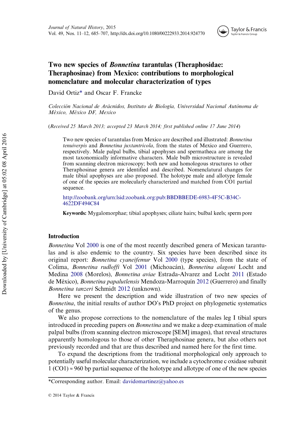 Two New Species of Bonnetina Tarantulas (Theraphosidae