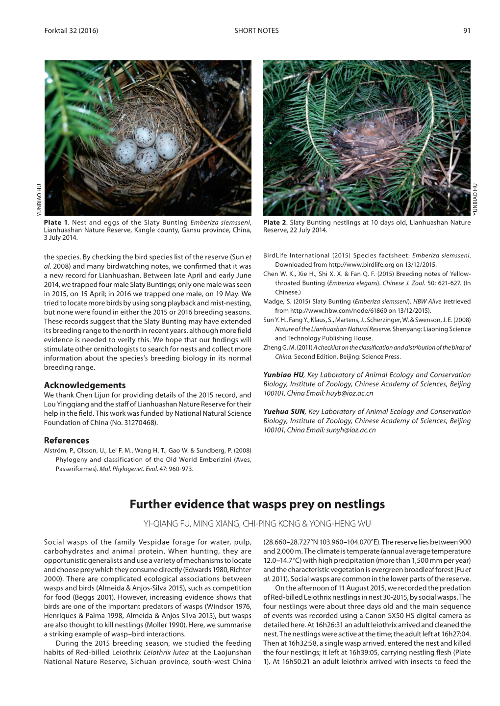 Further Evidence That Wasps Prey on Nestlings YI-QIANG FU, MING XIANG, CHI-PING KONG & YONG-HENG WU