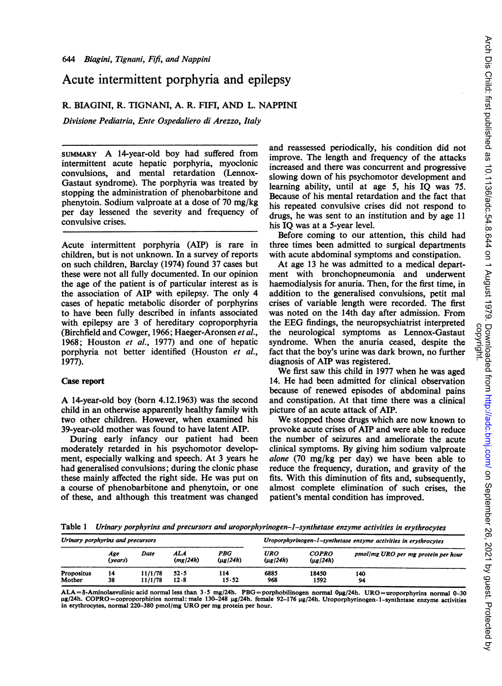 Acute Intermittent Porphyria and Epilepsy