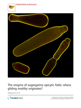 Where Gliding Motility Originates? Valigurová Et Al