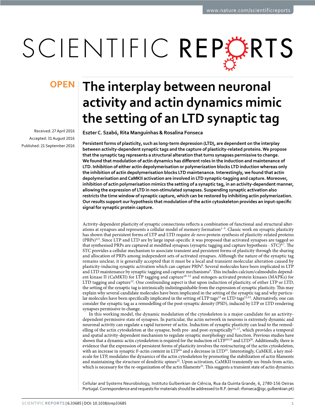The Interplay Between Neuronal Activity and Actin Dynamics Mimic the Setting of an LTD Synaptic Tag Received: 27 April 2016 Eszter C