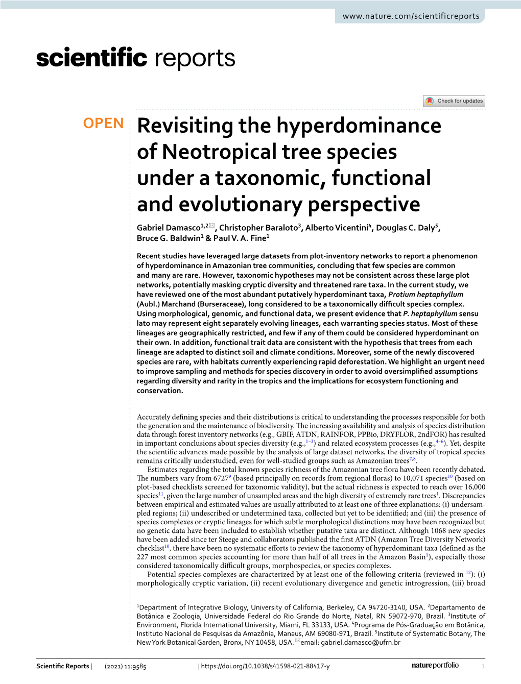 Revisiting the Hyperdominance of Neotropical Tree Species Under A