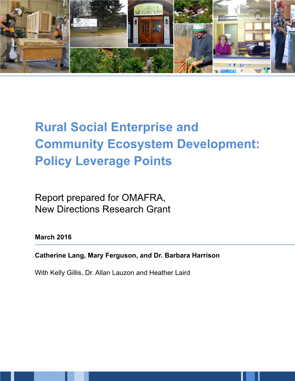 Rural Social Enterprise and Community Ecosystem Development: Policy Leverage Points