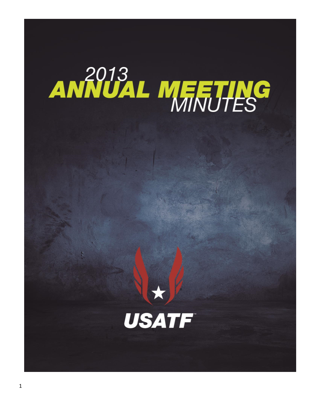 2013 Annual Meeting Minutes