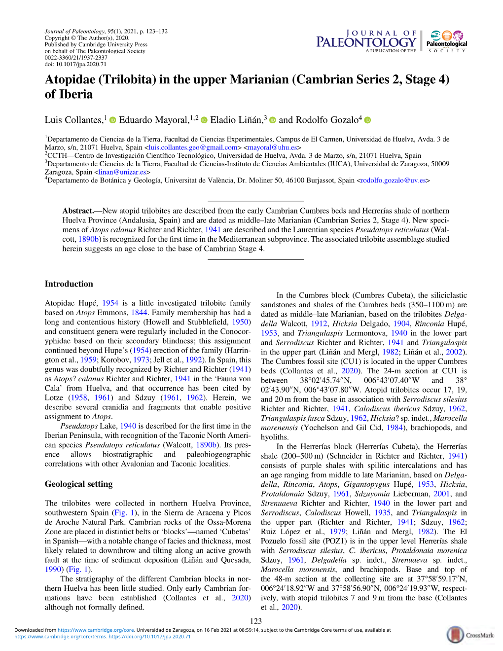 Atopidae (Trilobita) in the Upper Marianian (Cambrian Series 2, Stage 4) of Iberia
