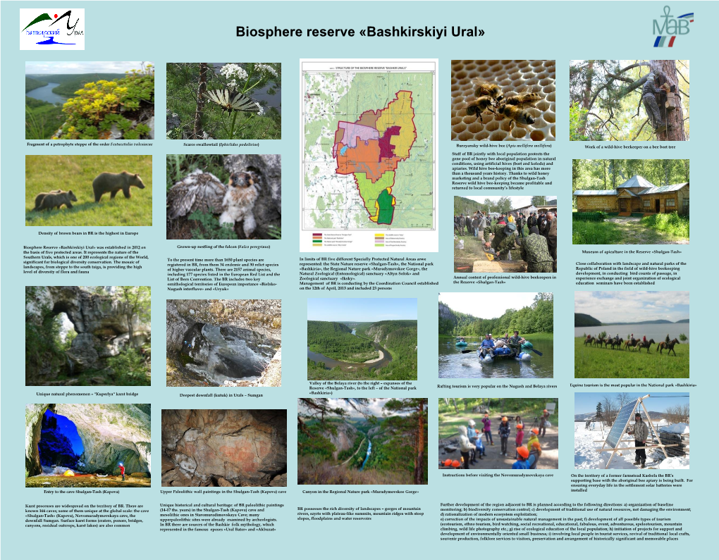 Biosphere Reserve «Bashkirskiyi Ural»