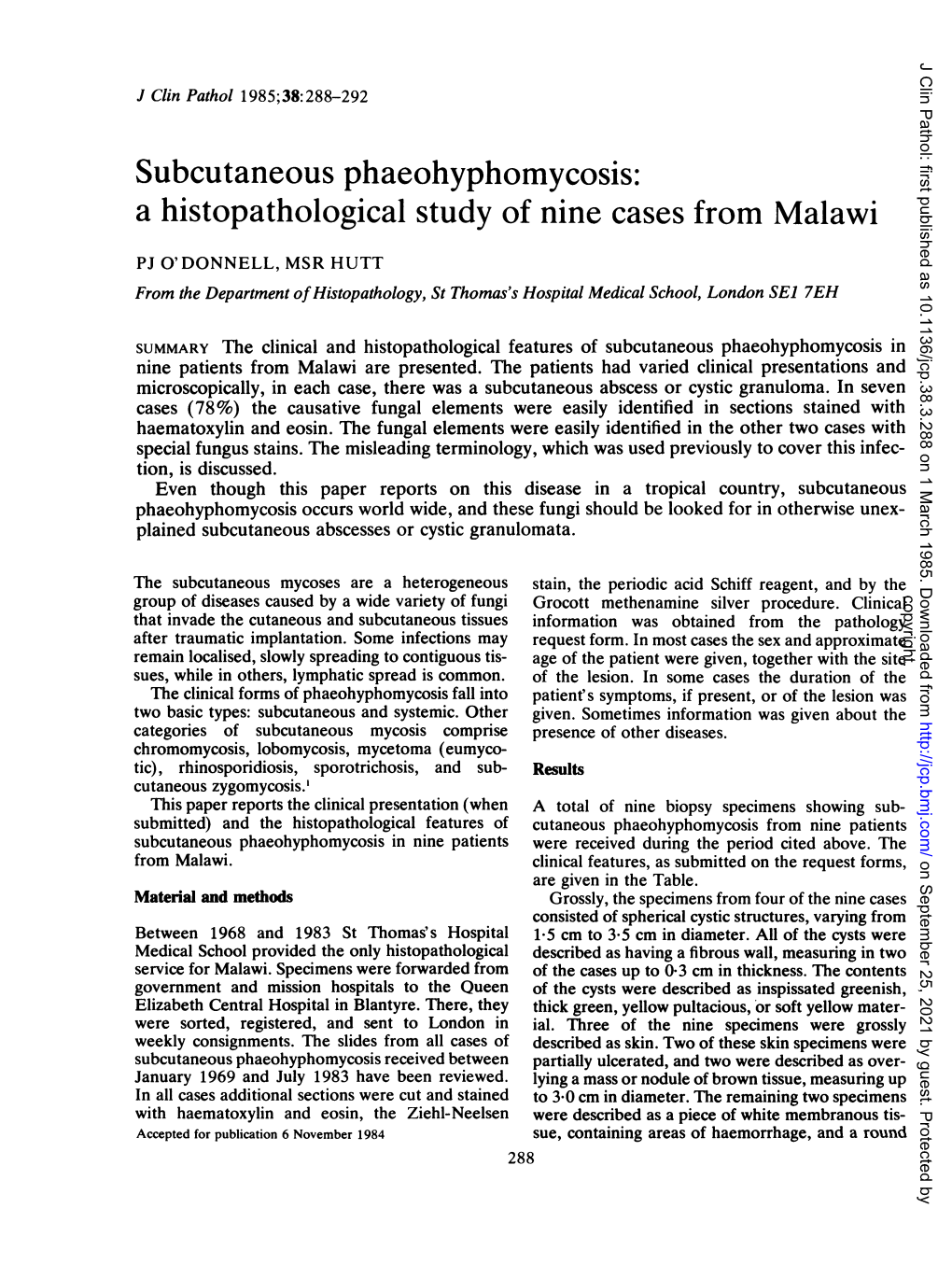 Subcutaneous Phaeohyphomycosis: a Histopathological Study of Nine Cases from Malawi