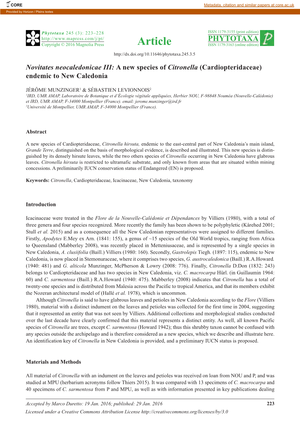 Novitates Neocaledonicae III : a New Species of Citronella