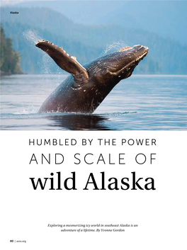 The Power and Scale of Wild Alaska