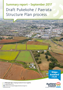 Draft Pukekohe / Paerata Structure Plan Process