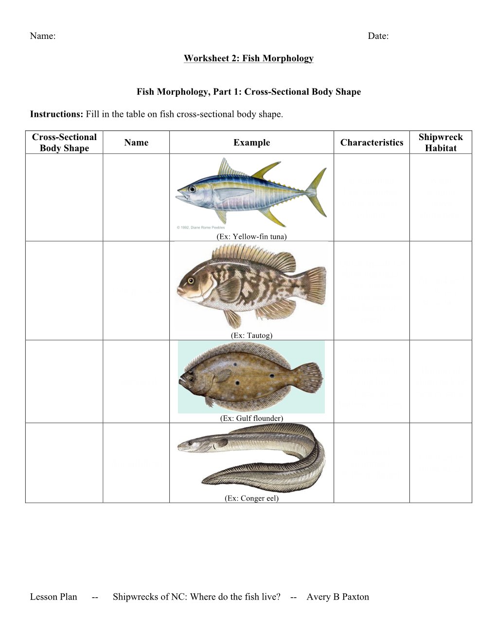 Fish Morphology