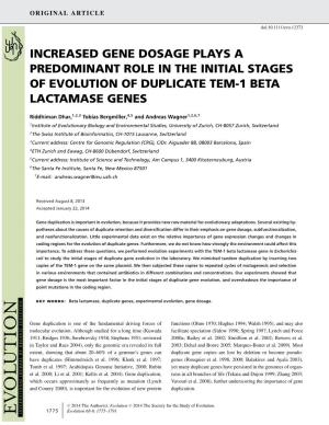 Increased Gene Dosage Plays a Predominant Role in the Initial Stages of Evolution of Duplicate Tem-1 Beta Lactamase Genes