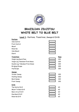 Brazilian Jiujitsu White Belt to Blue Belt