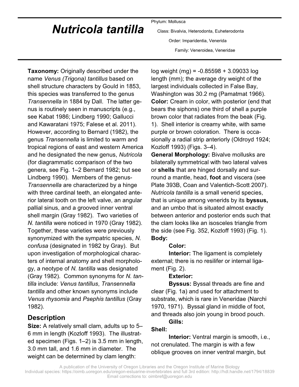 Nutricola Tantilla Class: Bivalvia, Heterodonta, Euheterodonta