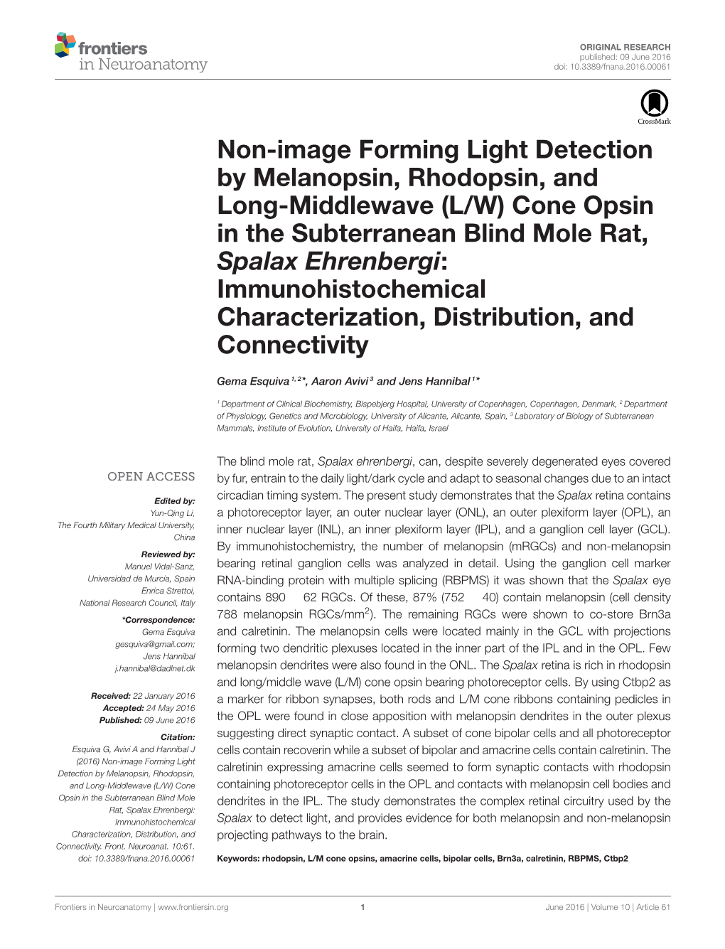 Non-Image Forming Light Detection by Melanopsin, Rhodopsin, and Long-Middlewave (L/W) Cone Opsin in the Subterranean Blind Mole