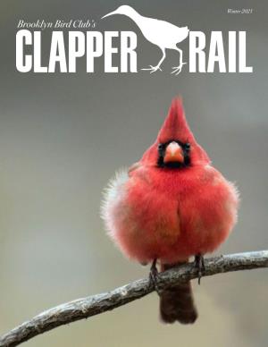 Winter 2021 Brooklyn Bird Club’S the Clapper Rail Winter 2021 Inside This Issue