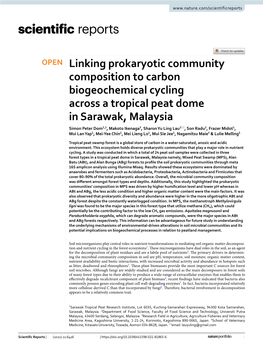 Linking Prokaryotic Community Composition to Carbon