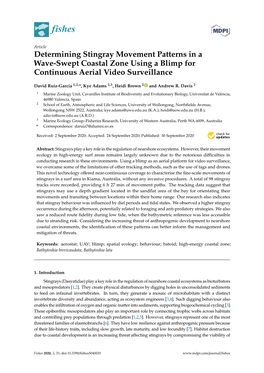 Determining Stingray Movement Patterns in a Wave-Swept Coastal Zone Using a Blimp for Continuous Aerial Video Surveillance