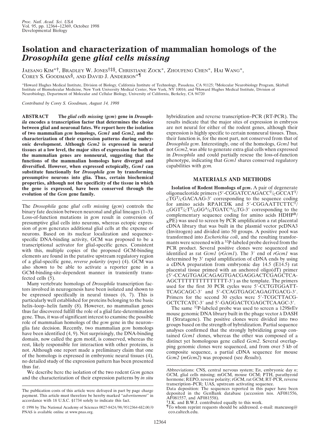 Isolation and Characterization of Mammalian Homologs of the Drosophila Gene Glial Cells Missing