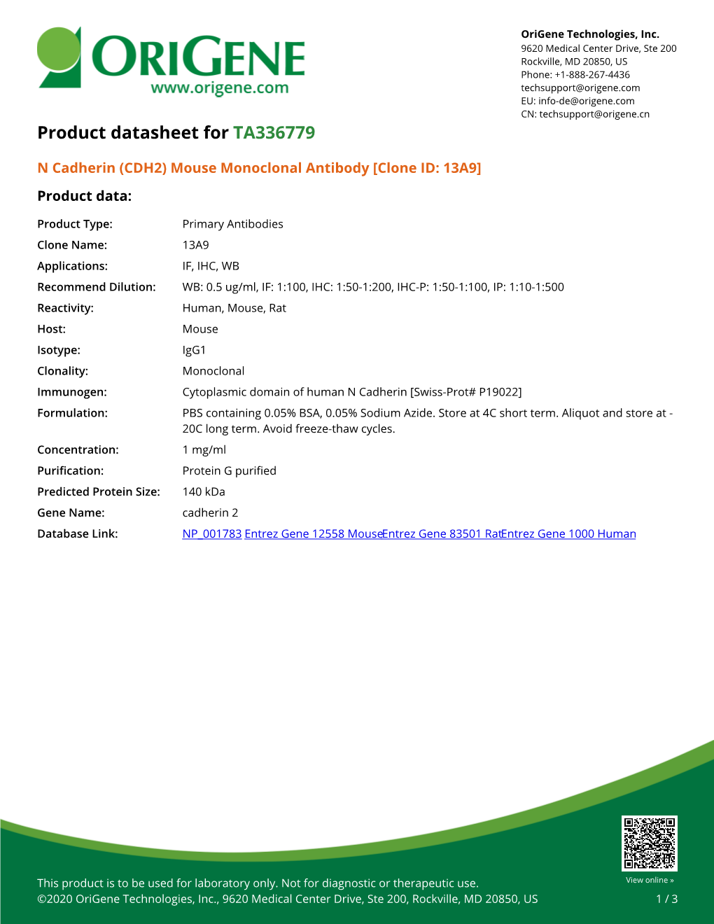 N Cadherin (CDH2) Mouse Monoclonal Antibody [Clone ID: 13A9] Product Data