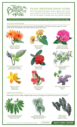 PLANT IDENTIFICATION GUIDE the Tropical Butterfly House Features Plants from Tropical Areas Around the World