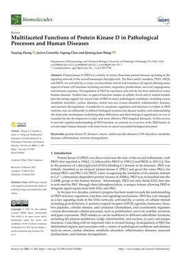 Multifaceted Functions of Protein Kinase D in Pathological Processes and Human Diseases