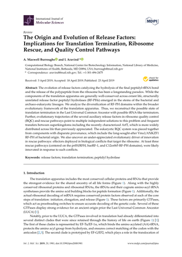 The Origin and Evolution of Release Factors: Implications for Translation Termination, Ribosome Rescue, and Quality Control Pathways