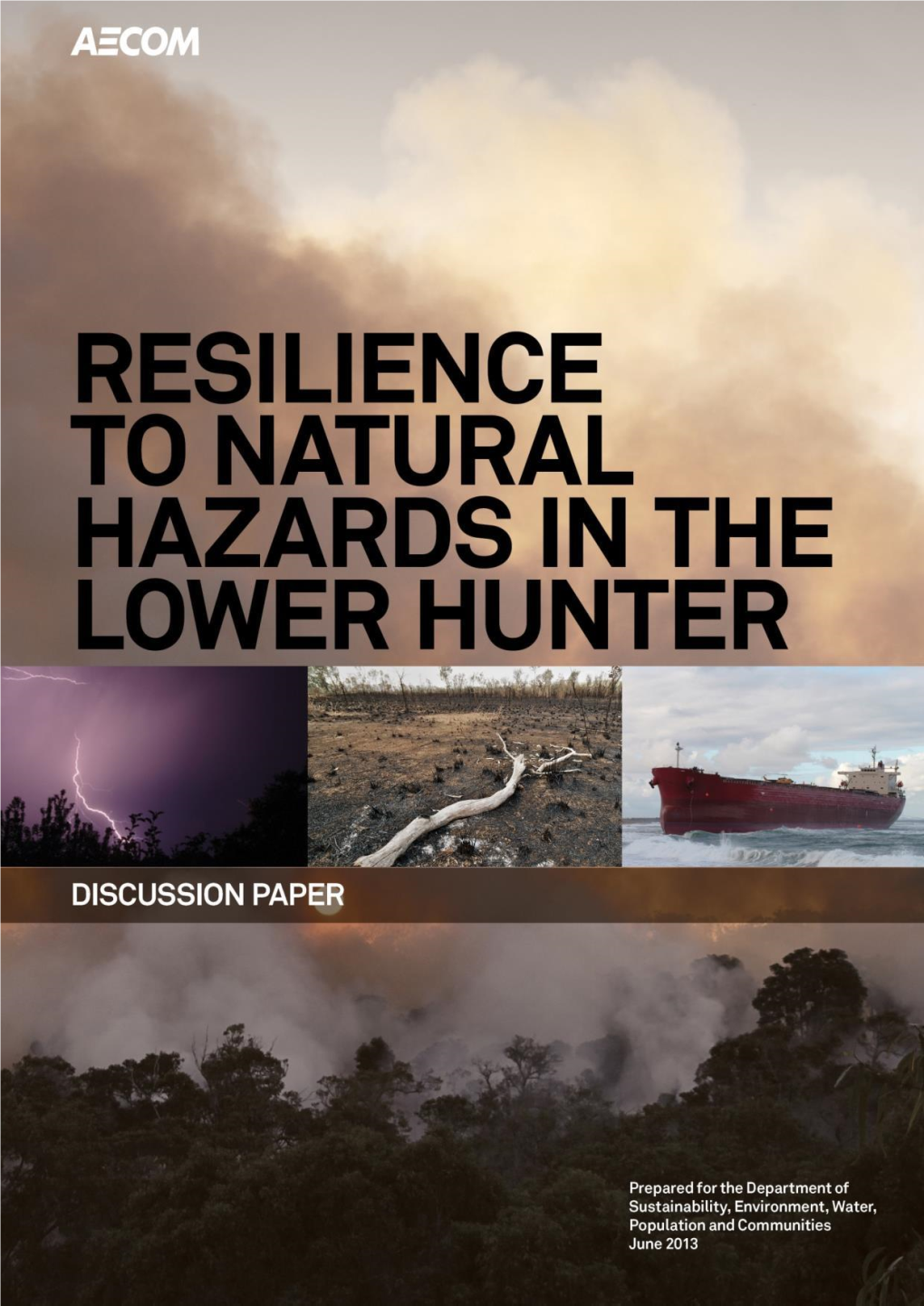 Resilience to Natural Hazards in the Lower Hunter Region