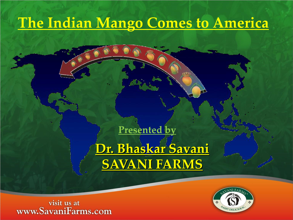 The Indian Mango Comes to America