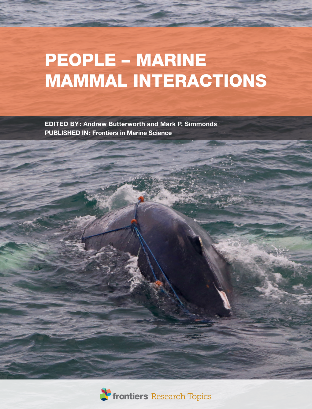 Marine Mammal Interactions