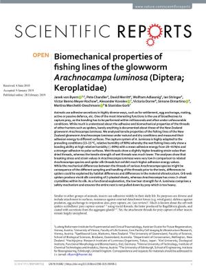 Biomechanical Properties of Fishing Lines of the Glowworm