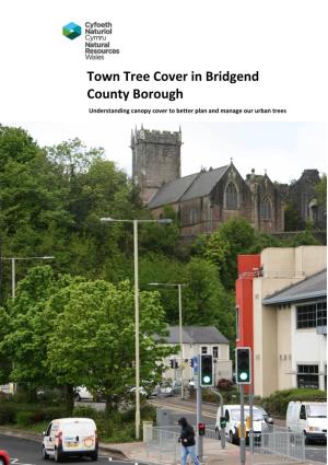 Town Tree Cover in Bridgend County Borough