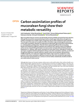 Carbon Assimilation Profiles of Mucoralean Fungi Show