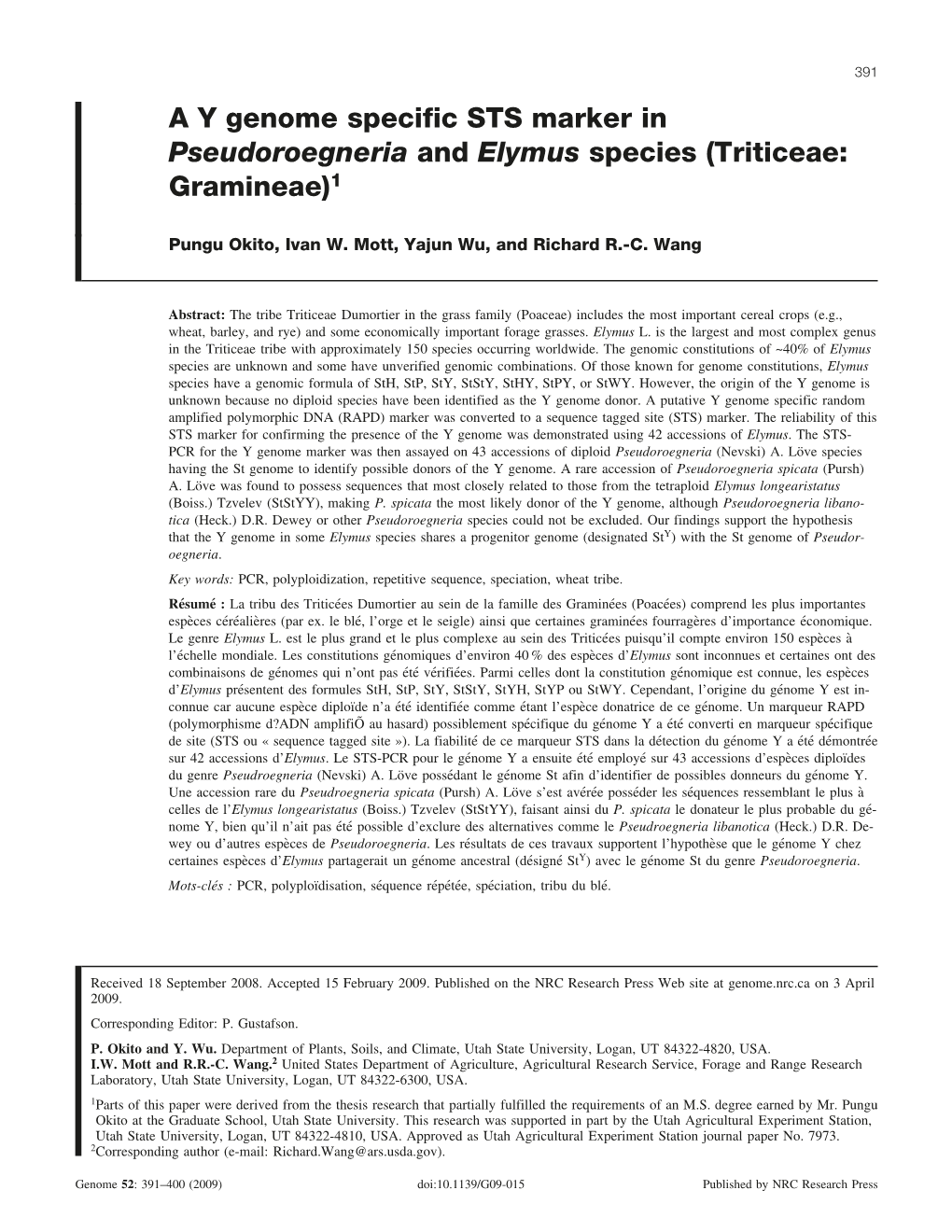 AY Genome Specific STS Marker in Pseudoroegneria and Elymus Species