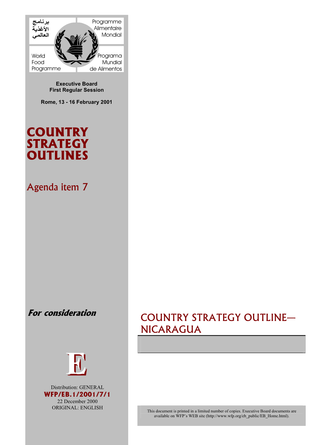 Country Strategy Outlines