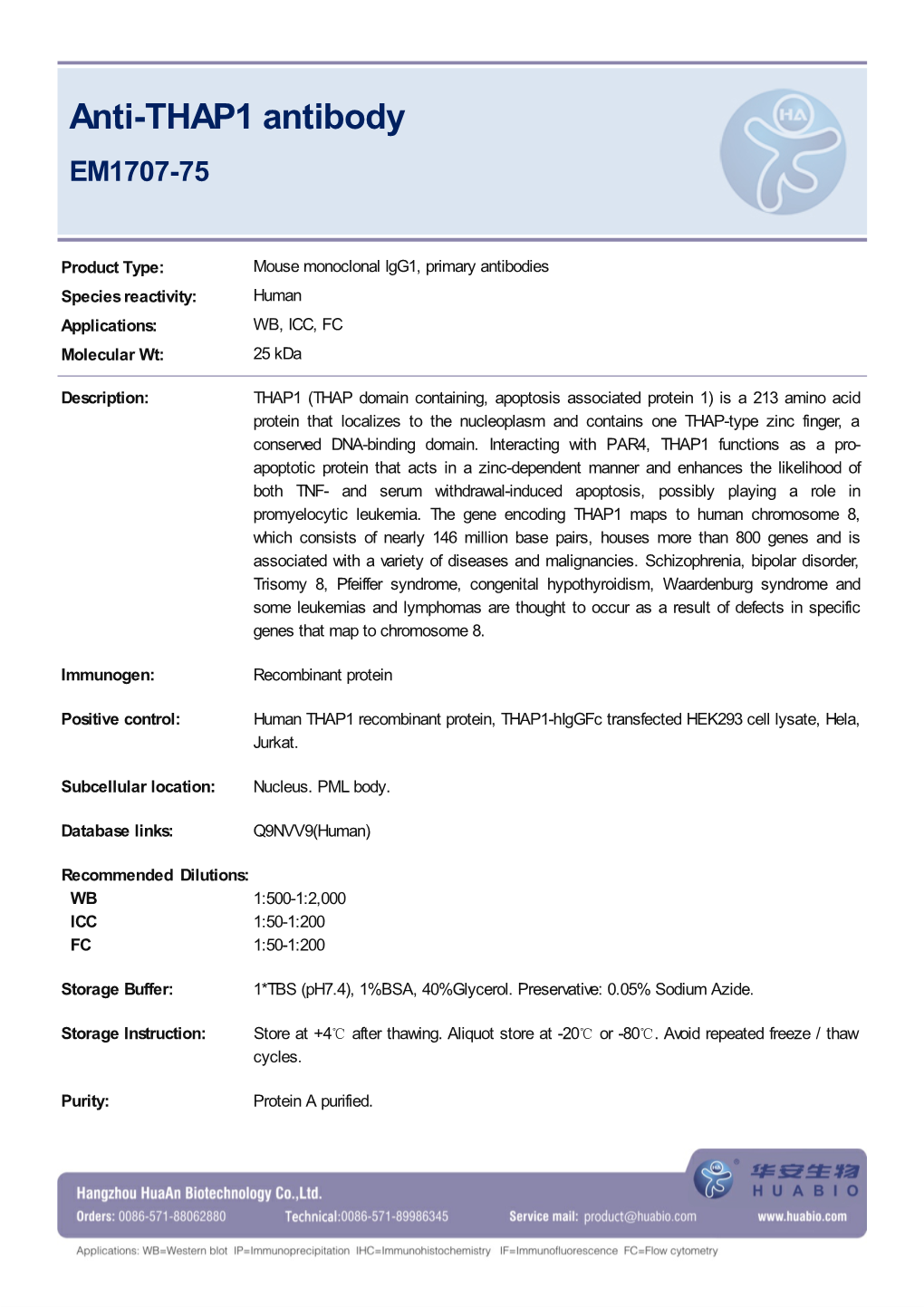 Anti-THAP1 Antibody EM1707-75