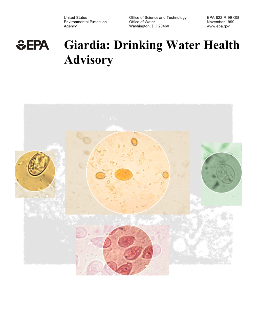 Giardia: Drinking Water Health Advisory I