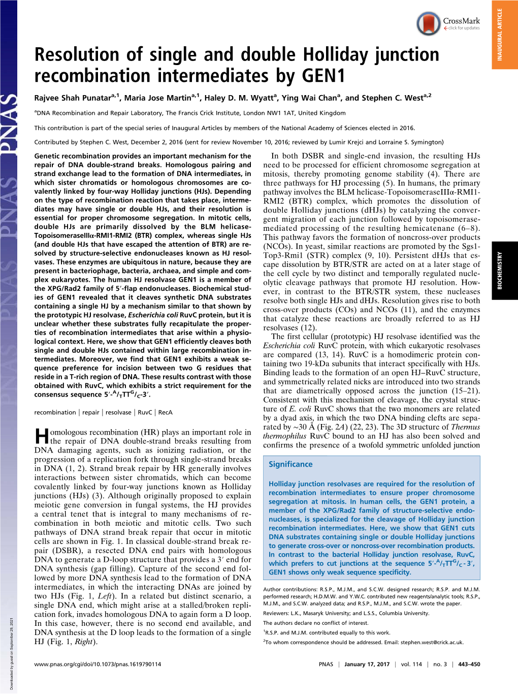 Resolution of Single and Double Holliday Junction Recombination