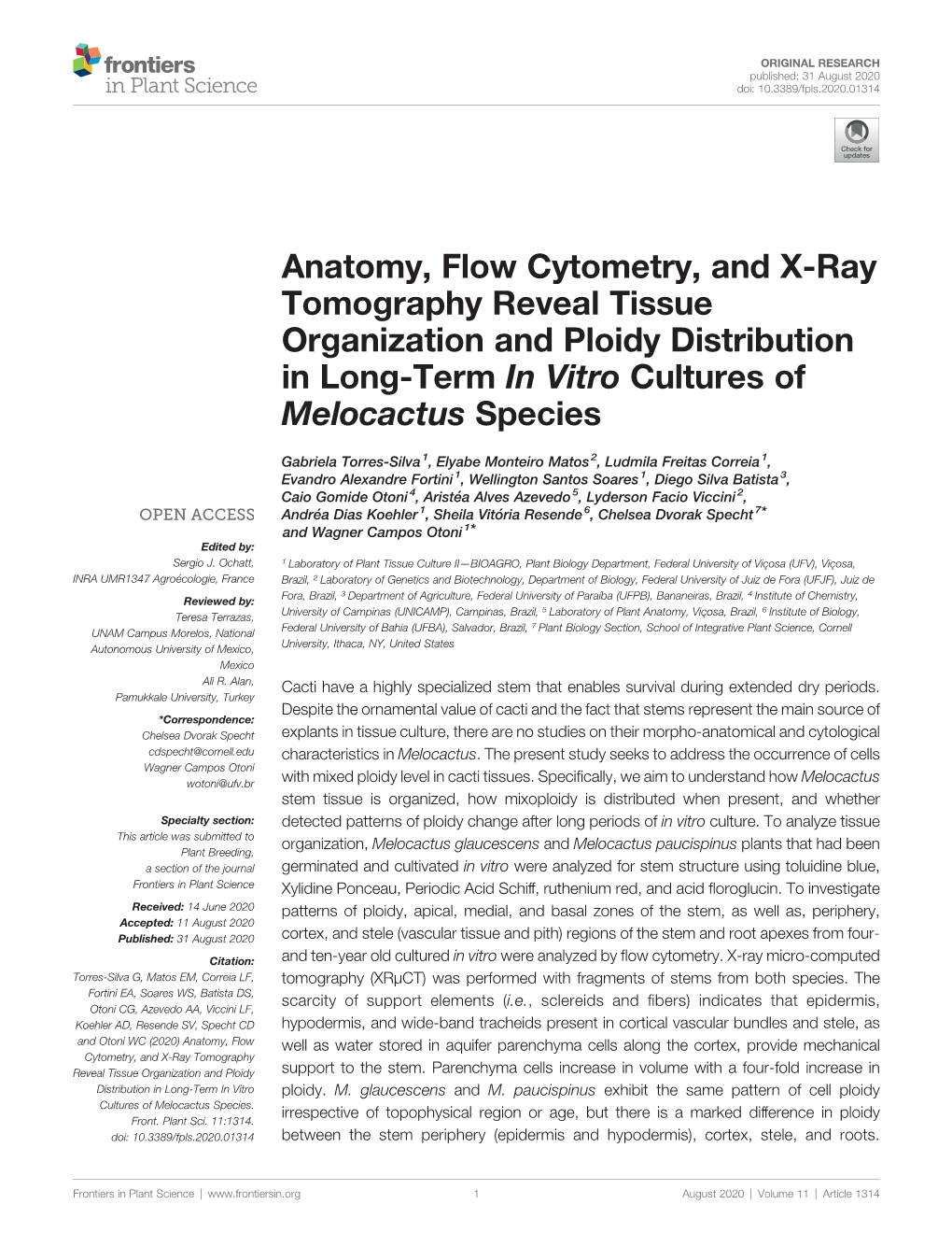 Anatomy, Flow Cytometry, and X-Ray Tomography Reveal Tissue Organization and Ploidy Distribution in Long-Term in Vitro Cultures of Melocactus Species