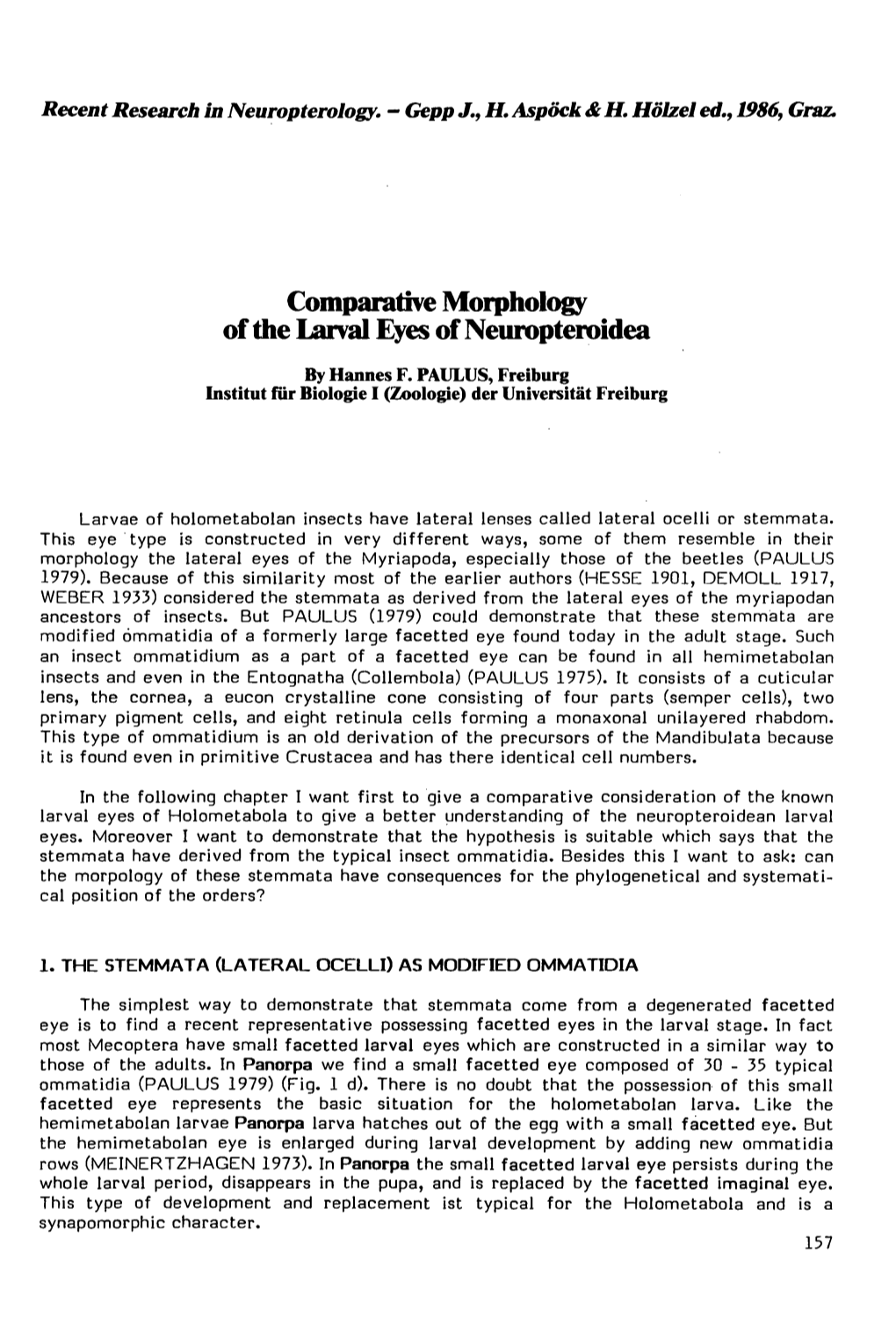 Comparative Morphology of the Larval Eyes of Neuropteroidea