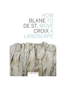 How to Move a Landscape, Blane De St. Croix