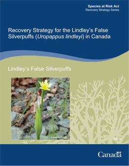 Recovery Strategy for the Lindley's False Silverpuffs (Uropappus
