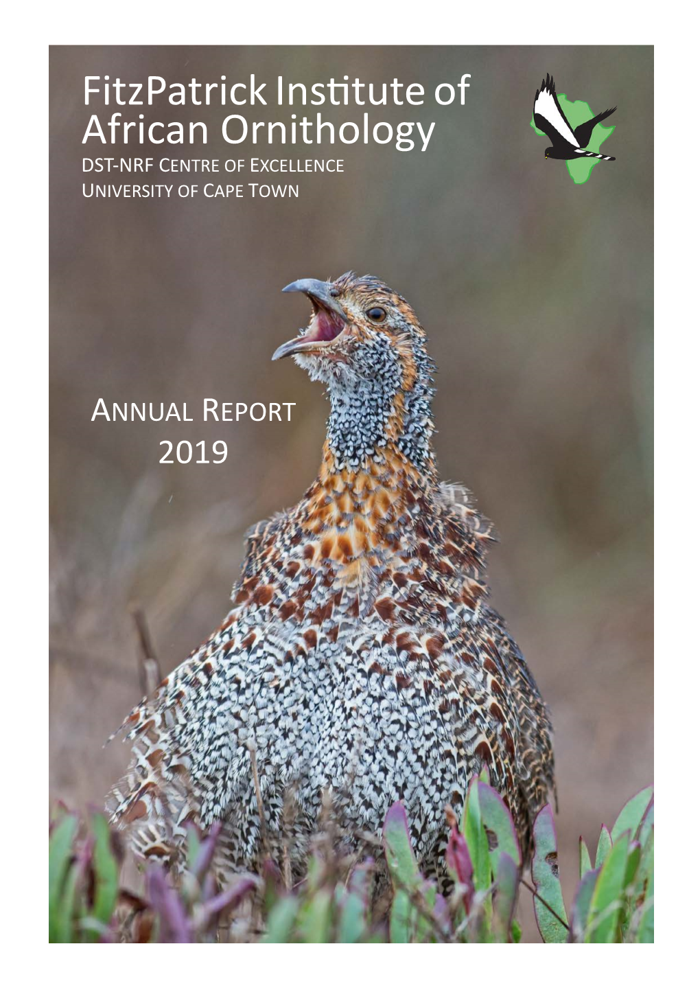 Annual Report 2019