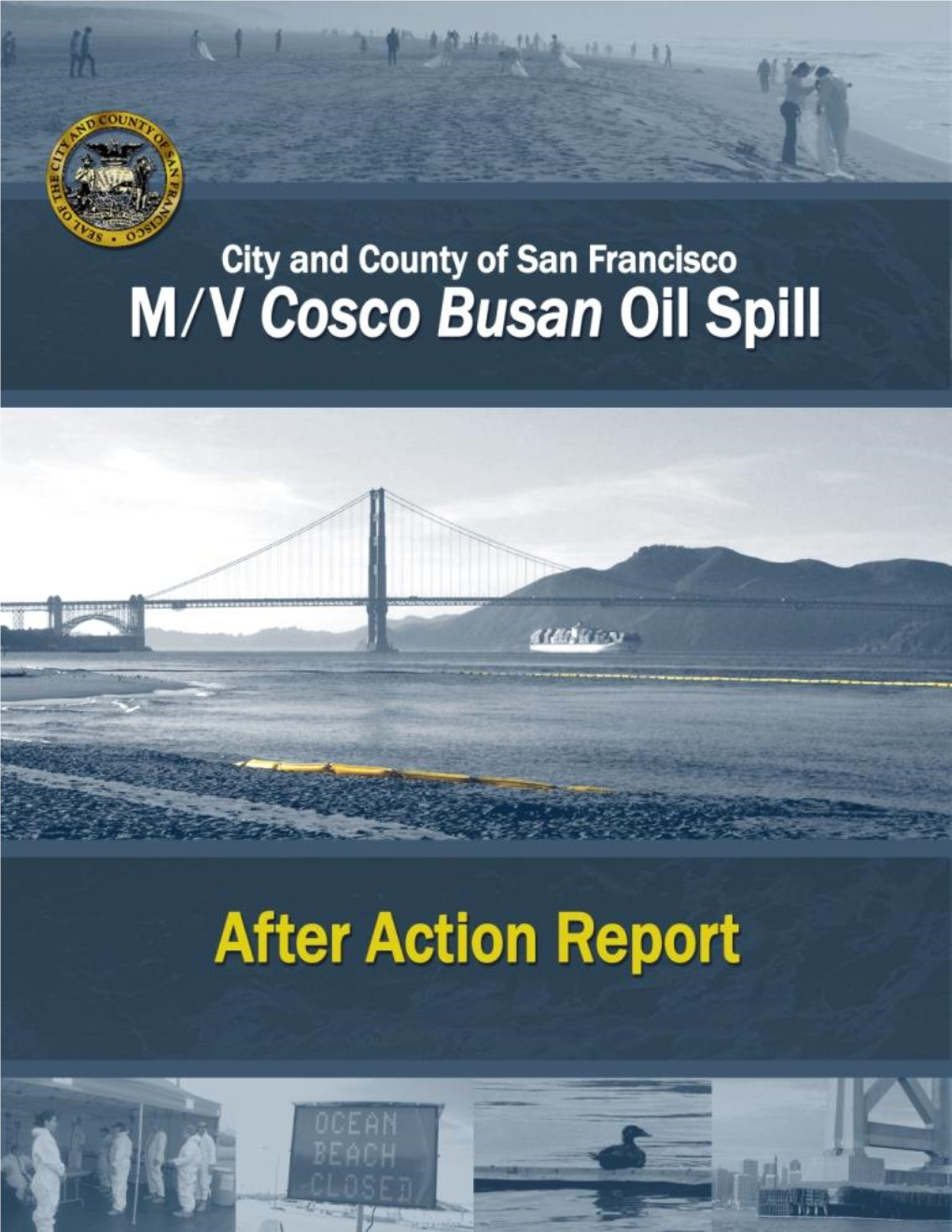 Cosco Busan After Action Report